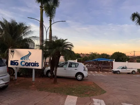 Alugar Apartamento / Padr&atilde;o em S&atilde;o Jos&eacute; do Rio Preto R$ 800,00 - Foto 23