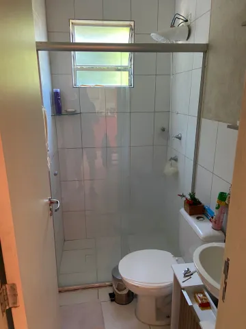 Apartamento / Padr&atilde;o em S&atilde;o Jos&eacute; do Rio Preto 