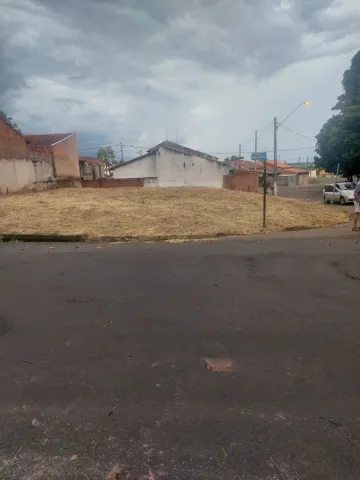Comprar Terreno / Padr&atilde;o em Cedral R$ 120.000,00 - Foto 2