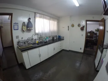 Alugar Apartamento / Padr&atilde;o em S&atilde;o Jos&eacute; do Rio Preto R$ 2.200,00 - Foto 16