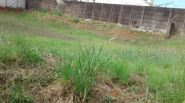 Comprar Terreno / Padr&atilde;o em S&atilde;o Jos&eacute; do Rio Preto R$ 1.000.000,00 - Foto 5