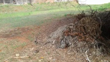 Comprar Terreno / Padr&atilde;o em S&atilde;o Jos&eacute; do Rio Preto R$ 1.000.000,00 - Foto 11