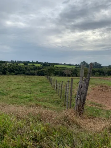 Terreno / &Aacute;rea em Cedral 