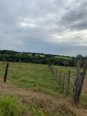 Comprar Terreno / &Aacute;rea em Cedral R$ 5.000.000,00 - Foto 2
