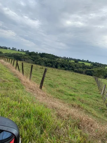 Comprar Terreno / &Aacute;rea em Cedral R$ 5.000.000,00 - Foto 4