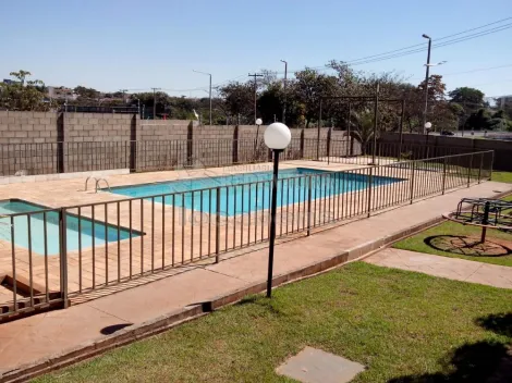 Alugar Apartamento / Padr&atilde;o em S&atilde;o Jos&eacute; do Rio Preto R$ 870,00 - Foto 8