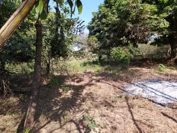 Comprar Rural / Ch&aacute;cara em S&atilde;o Jos&eacute; do Rio Preto R$ 630.000,00 - Foto 5