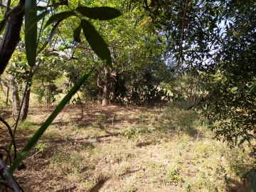 Comprar Rural / Ch&aacute;cara em S&atilde;o Jos&eacute; do Rio Preto R$ 630.000,00 - Foto 6