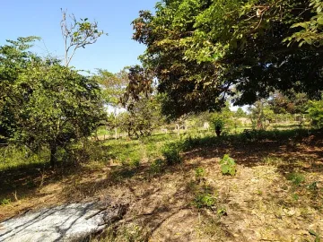 Comprar Rural / Ch&aacute;cara em S&atilde;o Jos&eacute; do Rio Preto R$ 630.000,00 - Foto 9