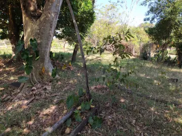 Comprar Rural / Ch&aacute;cara em S&atilde;o Jos&eacute; do Rio Preto R$ 630.000,00 - Foto 11