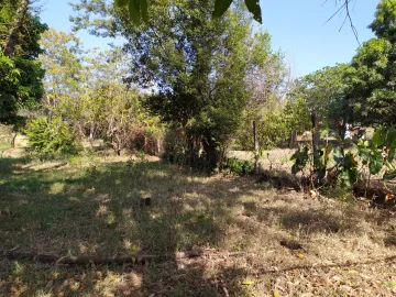 Comprar Rural / Ch&aacute;cara em S&atilde;o Jos&eacute; do Rio Preto R$ 630.000,00 - Foto 12