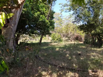 Comprar Rural / Ch&aacute;cara em S&atilde;o Jos&eacute; do Rio Preto R$ 630.000,00 - Foto 13