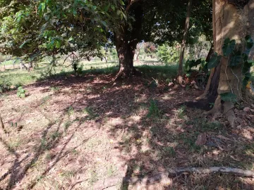 Comprar Rural / Ch&aacute;cara em S&atilde;o Jos&eacute; do Rio Preto R$ 630.000,00 - Foto 14