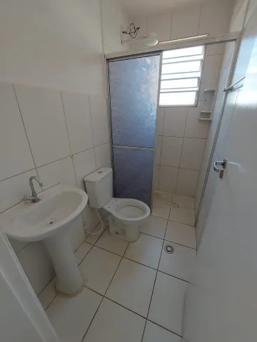 Alugar Apartamento / Padr&atilde;o em S&atilde;o Jos&eacute; do Rio Preto R$ 800,00 - Foto 4