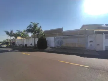 Alugar Casa / Padr&atilde;o em S&atilde;o Jos&eacute; do Rio Preto. apenas R$ 600.000,00