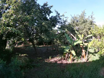 Alugar Comercial / Casa Comercial em S&atilde;o Jos&eacute; do Rio Preto R$ 4.800,00 - Foto 37