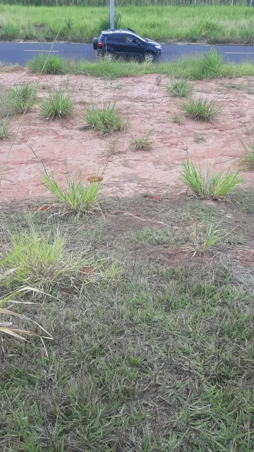 Comprar Terreno / Padr&atilde;o em Bady Bassitt R$ 40.000,00 - Foto 2