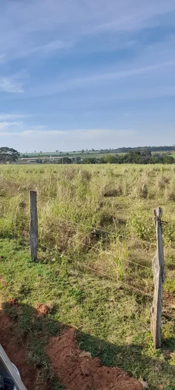 Terreno / &Aacute;rea em &Aacute;lvares Florence 