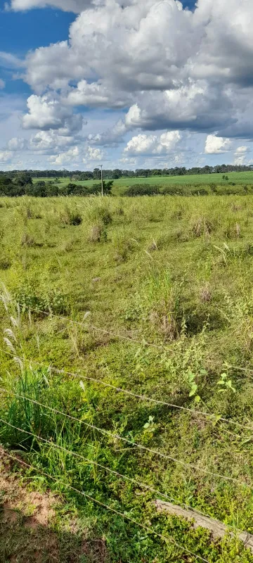 Comprar Terreno / &Aacute;rea em &Aacute;lvares Florence R$ 300.000,00 - Foto 5