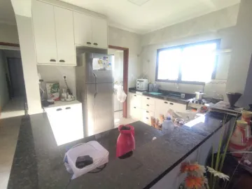 Comprar Apartamento / Padr&atilde;o em S&atilde;o Jos&eacute; do Rio Preto R$ 360.000,00 - Foto 6