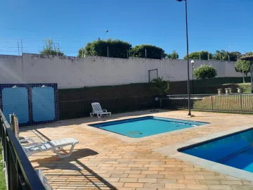 Alugar Apartamento / Padr&atilde;o em S&atilde;o Jos&eacute; do Rio Preto. apenas R$ 1.200,00