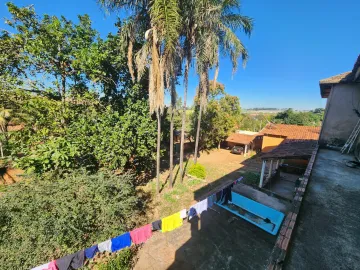 Comprar Rural / Ch&aacute;cara em Cedral R$ 1.000.000,00 - Foto 9