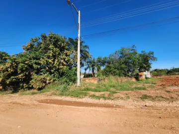 Comprar Rural / Ch&aacute;cara em Cedral R$ 1.000.000,00 - Foto 13