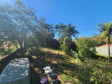 Comprar Rural / Ch&aacute;cara em Cedral R$ 1.000.000,00 - Foto 12