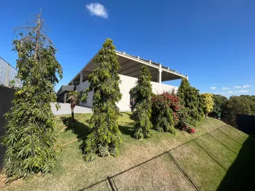 Alugar Comercial / Sal&atilde;o em S&atilde;o Jos&eacute; do Rio Preto R$ 39.000,00 - Foto 41