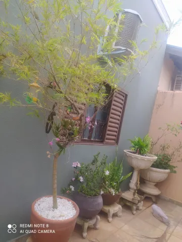 Comprar Casa / Padr&atilde;o em S&atilde;o Jos&eacute; do Rio Preto R$ 473.000,00 - Foto 15