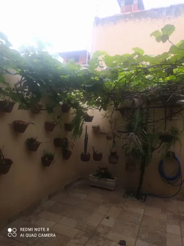 Comprar Casa / Padr&atilde;o em S&atilde;o Jos&eacute; do Rio Preto R$ 473.000,00 - Foto 13
