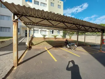 Alugar Apartamento / Padr&atilde;o em S&atilde;o Jos&eacute; do Rio Preto R$ 750,00 - Foto 13
