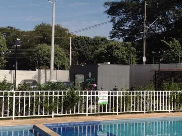 Alugar Apartamento / Padr&atilde;o em S&atilde;o Jos&eacute; do Rio Preto R$ 1.750,00 - Foto 6