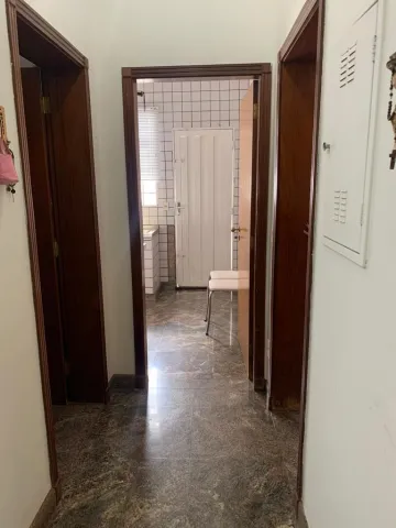 Alugar Casa / Padr&atilde;o em S&atilde;o Jos&eacute; do Rio Preto R$ 15.000,00 - Foto 39