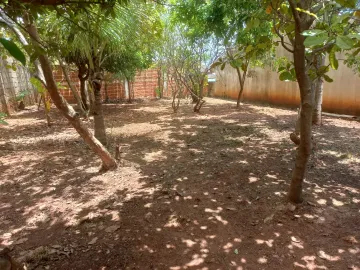 Terreno / Padr&atilde;o em S&atilde;o Jos&eacute; do Rio Preto 