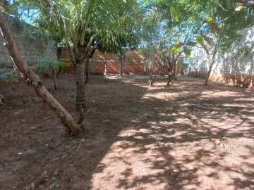 Comprar Casa / Padr&atilde;o em S&atilde;o Jos&eacute; do Rio Preto R$ 453.000,00 - Foto 18