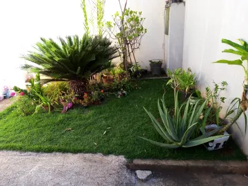 Comprar Casa / Padr&atilde;o em S&atilde;o Jos&eacute; do Rio Preto R$ 250.000,00 - Foto 2