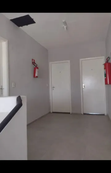 Alugar Comercial / Pr&eacute;dio Inteiro em S&atilde;o Jos&eacute; do Rio Preto R$ 10.000,00 - Foto 4