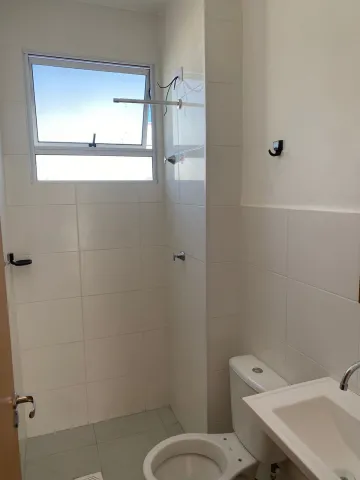 Alugar Apartamento / Padr&atilde;o em S&atilde;o Jos&eacute; do Rio Preto R$ 1.150,00 - Foto 7