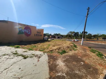 Terreno / Padr&atilde;o em S&atilde;o Jos&eacute; do Rio Preto 
