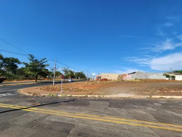 Terreno / Padr&atilde;o em S&atilde;o Jos&eacute; do Rio Preto 