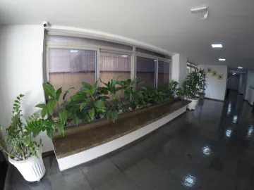 Alugar Apartamento / Padr&atilde;o em S&atilde;o Jos&eacute; do Rio Preto R$ 1.500,00 - Foto 5