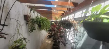 Alugar Casa / Padr&atilde;o em S&atilde;o Jos&eacute; do Rio Preto R$ 1.600,00 - Foto 6