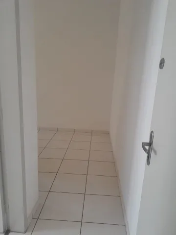 Alugar Apartamento / Padr&atilde;o em S&atilde;o Jos&eacute; do Rio Preto R$ 1.100,00 - Foto 5