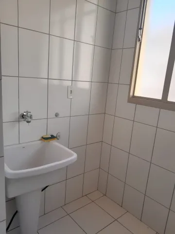 Alugar Apartamento / Padr&atilde;o em S&atilde;o Jos&eacute; do Rio Preto R$ 1.100,00 - Foto 9