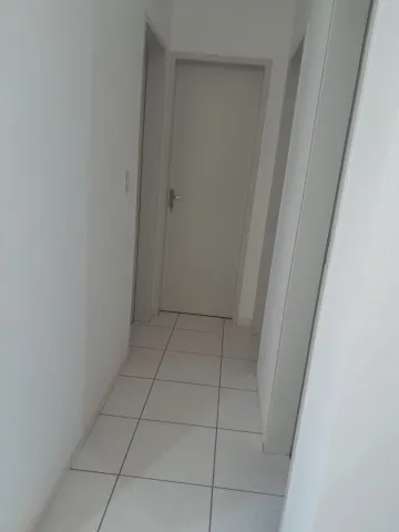 Alugar Apartamento / Padr&atilde;o em S&atilde;o Jos&eacute; do Rio Preto R$ 1.100,00 - Foto 6