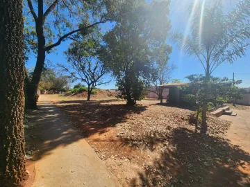 Terreno / &Aacute;rea em S&atilde;o Jos&eacute; do Rio Preto 