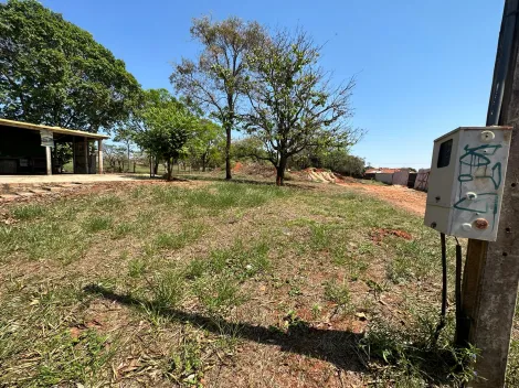 Comprar Terreno / &Aacute;rea em S&atilde;o Jos&eacute; do Rio Preto R$ 2.650.000,00 - Foto 5