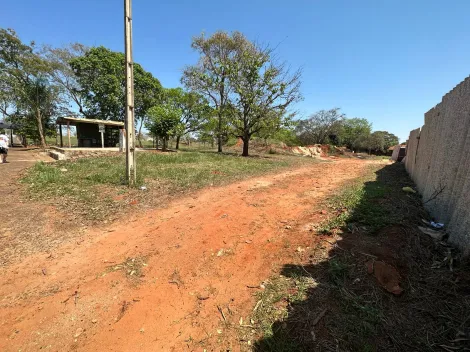 Comprar Terreno / &Aacute;rea em S&atilde;o Jos&eacute; do Rio Preto R$ 2.650.000,00 - Foto 6