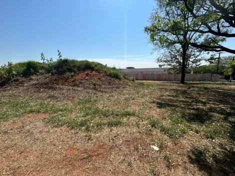 Comprar Terreno / &Aacute;rea em S&atilde;o Jos&eacute; do Rio Preto R$ 2.650.000,00 - Foto 7